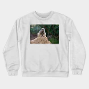 Meerkat King Of The Castle Crewneck Sweatshirt